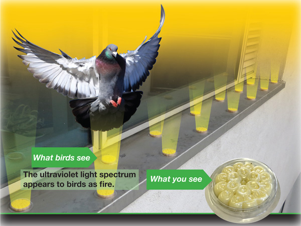 Optical Gel MULTI-SENSORY BIRD REPELENT